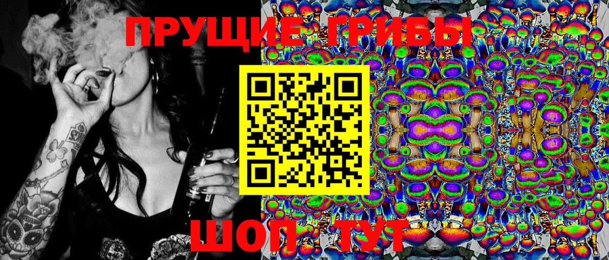 Псилоцибиновые грибы Psilocybe  Вход с VPN  Тамбов 